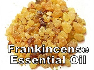 Frankincense Essential Oil Supplier Malaysia | Buy Frankincense ...