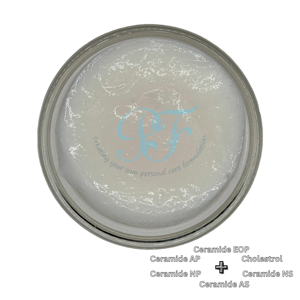 penta ceramide dispersion (2)