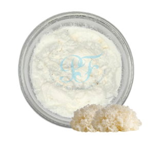 Snow Mushroom Active